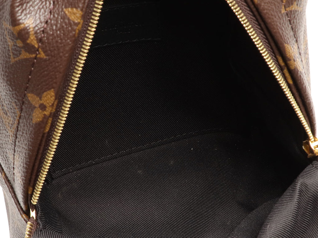 Louis Vuitton Mini Monogram Palm Springs Backpack