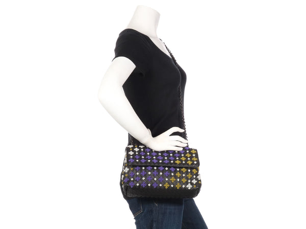Bottega Veneta Multicolor Embroidered Olimpia Bag